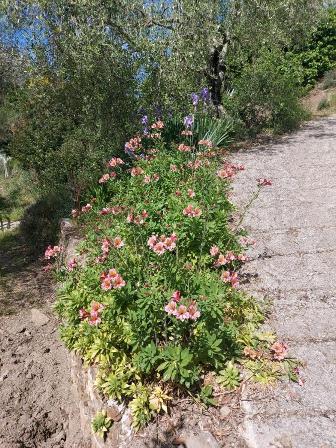 Nostro Rifugio Villa Apricale Exterior foto